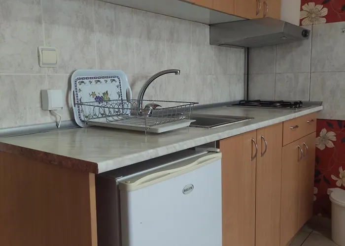 Ramona ソコバニャ